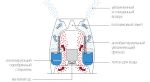 Традиционный увлажнитель воздуха Air-O-Swiss E2441